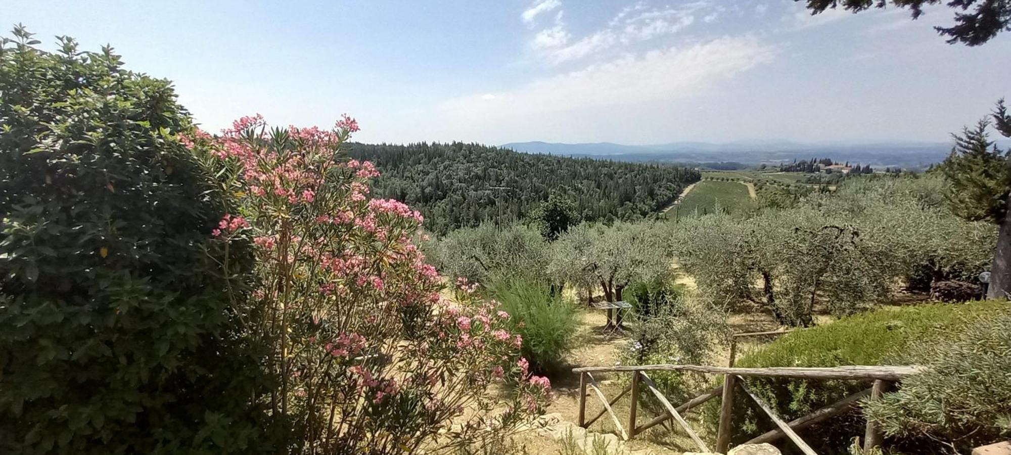 Borgo Nel Chianti Istrice Con Piscina Tennis E Wifi คาสเตลลินาอินเคียนติ ภายนอก รูปภาพ